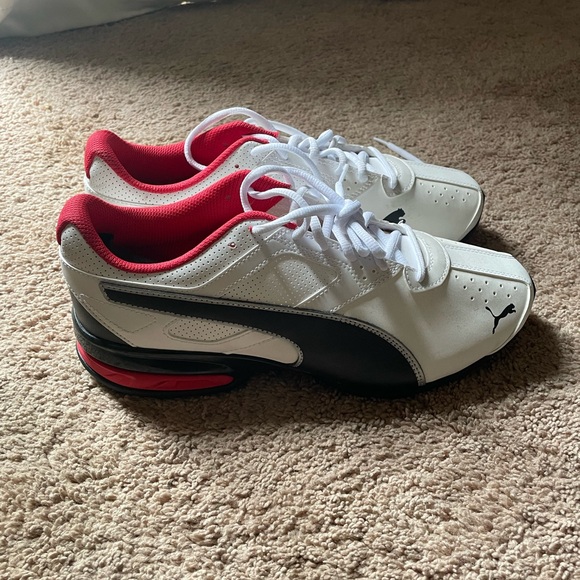 Pumas - Picture 3 of 6